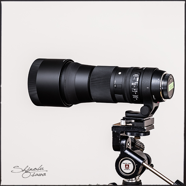 カメラ レンズ(ズーム) SIGMA 150-600mm F5-6.3 DG OS HSM Contemporary | shinobuOsawa 大沢 忍