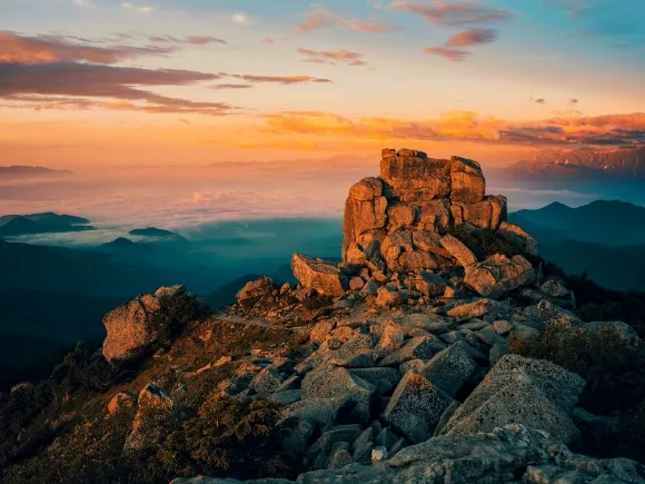 LIMITED EDITION PRINTSの各写真