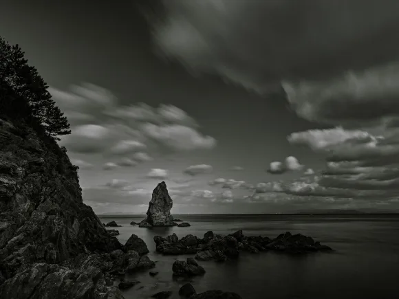 LIMITED EDITION PRINTSの各写真